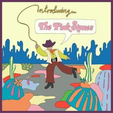 Introducing… The Pink Stones mp3 Album by The Pink Stones