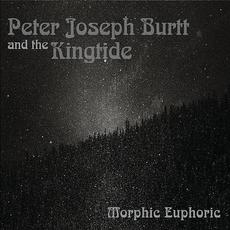 Morphic Euphoric mp3 Album by Peter Joseph Burtt & the King Tide