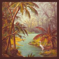 Wild & Precious Life mp3 Album by Duane Betts
