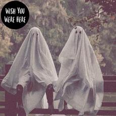 Wish You Were Here mp3 Album by Haunt Me