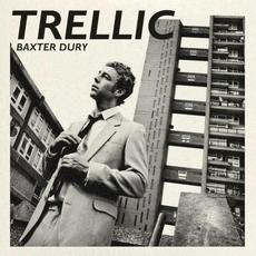 Trellic mp3 Single by Baxter Dury