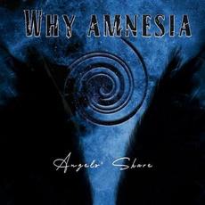 Angels' Share mp3 Album by Why Amnesia