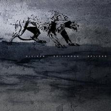 Spliced mp3 Album by Divider & Soillodge