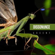 Ascent mp3 Album by Dissonance