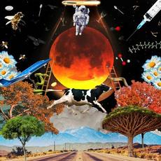Into The Wild World mp3 Album by Cedarsmoke