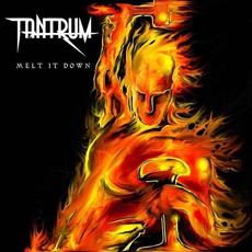 Melt It Down mp3 Album by Tantrum