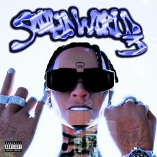 Soulja World 3 mp3 Album by Soulja Boy