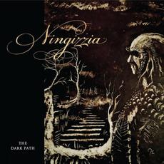 The Dark Path mp3 Album by Ningizzia