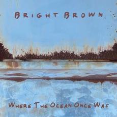 Where The Ocean Once Was mp3 Album by Bright Brown