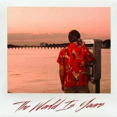 The World Is Yours mp3 Album by Shadows & Mirrors
