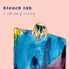A Calm Sense Of Surrounding mp3 Album by Bleach Lab