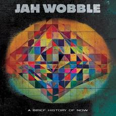 A Brief History of Now mp3 Album by Jah Wobble