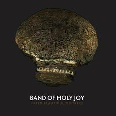 Fated Beautiful Mistakes mp3 Album by Band Of Holy Joy