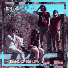 Forever Is Too Long mp3 Album by Dolce Blue