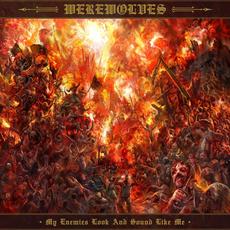 My Enemies Look and Sound Like Me mp3 Album by Werewolves
