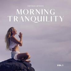 Morning Tranquility, Vol. 1 mp3 Compilation by Various Artists