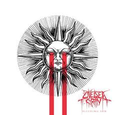 Bleeding Sun mp3 Single by Chelsea Grin
