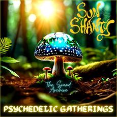 Psychedelic Gatherings mp3 Album by Sun Shanty