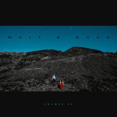 Frames mp3 Album by Wolf & Moon