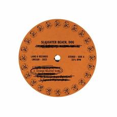 Strange Weather mp3 Single by Slaughter Beach, Dog