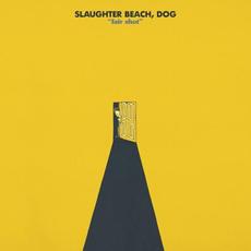 Fair Shot mp3 Single by Slaughter Beach, Dog