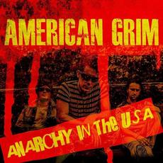Anarchy In The USA mp3 Single by American Grim
