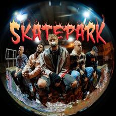 SkatePark mp3 Single by Good Weather Forecast