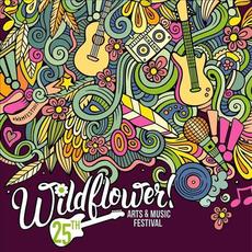 Wildflower Arts & Music Festival, Galatyn Park, Richardson, TX, USA 2017.05.20 mp3 Live by Lynyrd Skynyrd