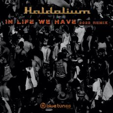 In Life We Have (2022 remix) mp3 Single by Haldolium