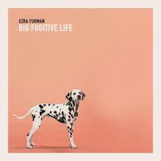 Big Fugitive Life mp3 Album by Ezra Furman