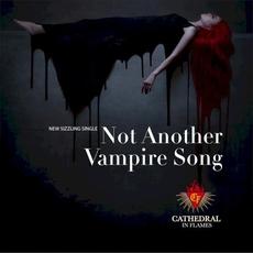Not Another Vampire Song mp3 Single by Cathedral In Flames