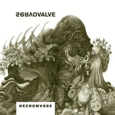 Necromasse mp3 Album by Servovalve