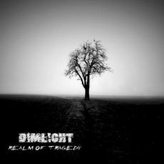 Realm of Tragedy mp3 Album by Dimlight