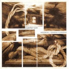 A Perfect Pain mp3 Album by Merzbow / Genesis P-Orridge