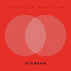 Modular Baptism mp3 Album by Pig & Dan