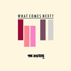 What Comes Next? mp3 Album by The Zasters