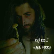 White Rabbit mp3 Single by Cam Cole