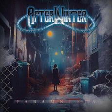 Paramnesia mp3 Album by AfterWinter