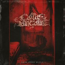 Dust Once Alive mp3 Album by Cultus Sanguine