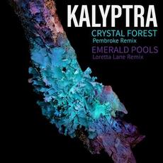 Crystal Forest Remixes mp3 Remix by Kalyptra