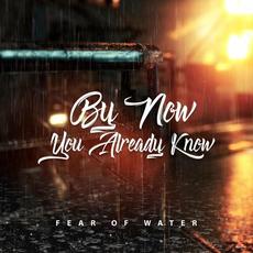 By Now You Already Know mp3 Single by Fear of Water