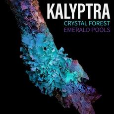 Crystal Forest mp3 Single by Kalyptra