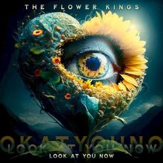 Look At You Now mp3 Album by The Flower Kings