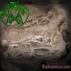 Exhumacion mp3 Album by Acid Bats