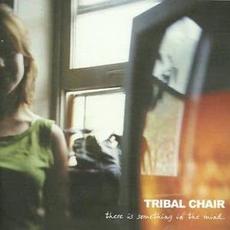 there is something in the mind mp3 Album by TRIBAL CHAIR
