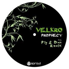 Prophecy mp3 Single by Velkro