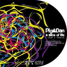 A Slice Of Life mp3 Single by Pig & Dan
