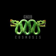 Cosmosis mp3 Album by GNOB