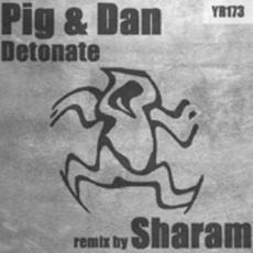 Detonate mp3 Remix by Pig&Dan