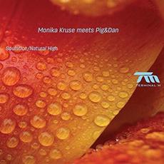 Soulstice / Natural High mp3 Single by Monika Kruse & Pig&Dan
